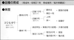 コシヒカリの来歴