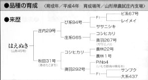 はえぬきの来歴