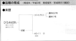 ササニシキの来歴