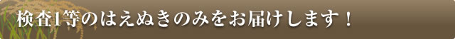 検査1等のはえぬきのみをお届けします！