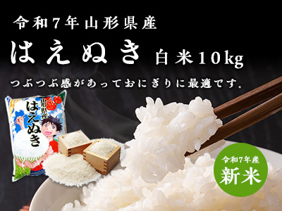 はえぬき白米10kg