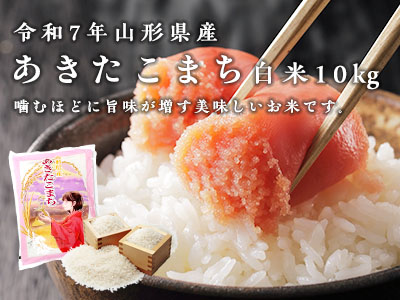 あきたこまち白米10kg